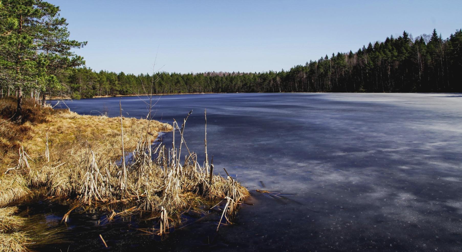 Educational learning environment